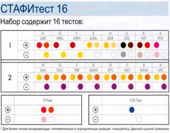 Тест ла 1. СТАФИТЕСТ микробиология. СТАФИТЕСТ И энтеротест. СТАФИТЕСТ И энтеротест микробиология. СТАФИТЕСТ 16.